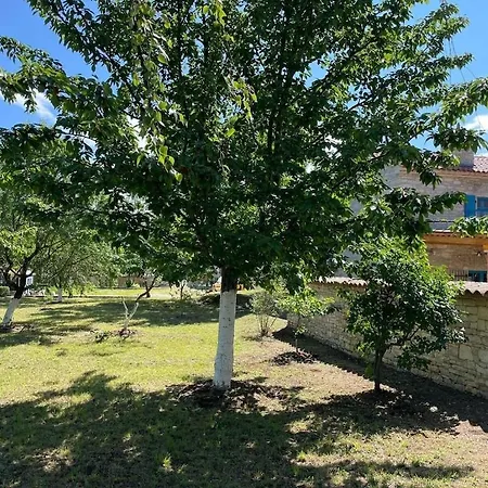 Family-sized Renovated Istrian House W/lavand Field - 20min From Rovinj. Hébergement de vacances *